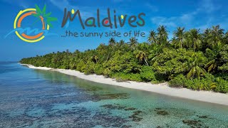 Maldives the sunny side of life 4K 2023 [upl. by Fayola]