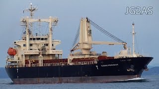 TAMAKI PRINCESS 一般貨物船 General cargo ship 2018SEP [upl. by Ardeed]