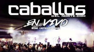 EN VIVO Cinco de Te Quila Tribal Caballos del norte [upl. by Nilved924]