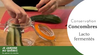 Comment conserver les concombres façon lactofermentation [upl. by Lunna]