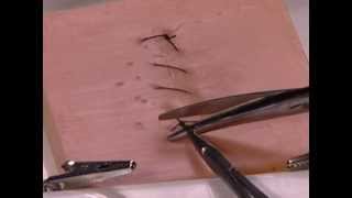 How to Perform a Simple Running Skin Closure suture travel on top [upl. by Itsirhc]