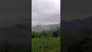 Nilachol Nilgiri Bandarban Morningviewtravel nilgirihills bandarbantour travelling shorts [upl. by Sidonnie]