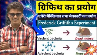 griffiths experiment  DNA aanuvanshik padarth hai [upl. by Angil]