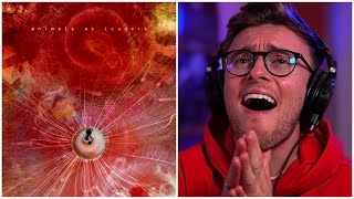 Animals As Leaders  The Joy Of Motion  Album REACTION Highlights [upl. by Pebrook513]