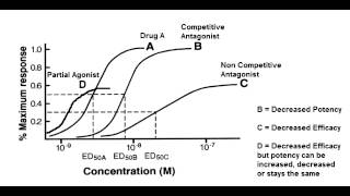 Receptor Binding Graph  Competitive amp Noncompetitive Antagonist Partial Agonist [upl. by Littell]