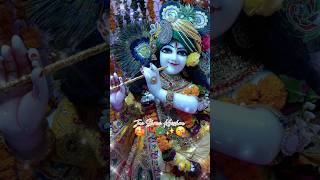 Shri Krishan Sarnam Mamah 🥰 Krishan bhajan shorts krishna video [upl. by Eelrac642]