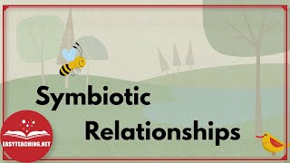 Symbiotic Relationships Mutualism Parasitism amp Commensalism  EasyTeaching [upl. by Tenaej]