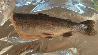 Trout catch and cook fishing trout catchandcook [upl. by Gnaw699]