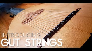 Introducing Gut Strings [upl. by Erehs]