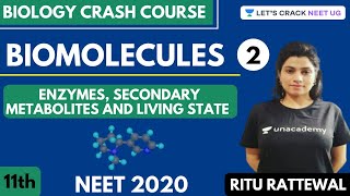 Biomolecules  Enzymes Secondary Metabolites and Living State  Part 2  NEET 2020 [upl. by Arinaid]