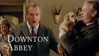 Lord Granthams New Puppy  Downton Abbey [upl. by Carlyn868]