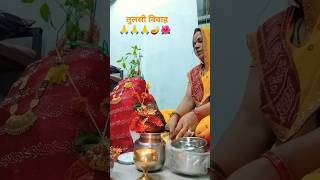 जय जयतुलसी माता song bhajan 🙏🙏🙏🌺🪔 [upl. by Ahtanaram]