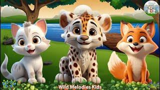 Wild Animal Sounds Fox Cat Colugo Langur Cheetah  Animals Sound [upl. by Atinnod]