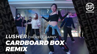 FLO Happi  Cardboard Box Remix  Lusher Choreography [upl. by Erdne341]