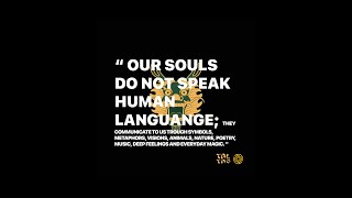 🟡 MOTION GRAPHICS QUOTE “OUR SOULS DO TO NOT SPEAK HUMAN LANGUAGE TALTAO  DESIGN BY MAGIC PORTAL [upl. by Meyeroff]