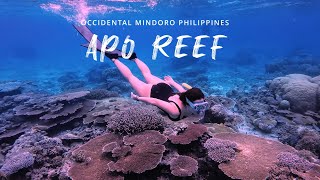 Apo Reef Natural Park  Sablayan Occidental Mindoro 67ph  PROJECT 82  Philippines [upl. by Sander]