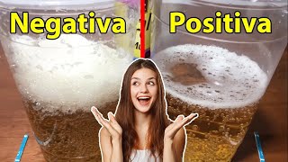 Prueba de embarazo casera con cloro  Positivo vs Negativo [upl. by Nueoht]