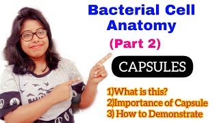 Bacterial Capsules Bacterial Cell Anatomy Part 2 [upl. by Noramac]