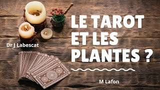 tirer le tarot des plantes sauvages [upl. by Hamilah]