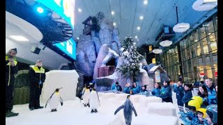 Snow Park Dubai  Worlds Largest Indoor Ski Slope  Snow World Dubai [upl. by Enilauqcaj]