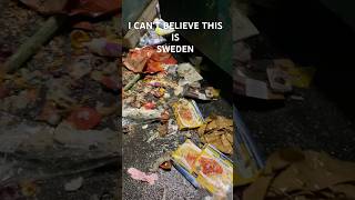 OMG 😱WHAT CAN WE DO  IS SWEDEN THIS DIRTY  MY SWEDISH LIFE [upl. by Tecil859]