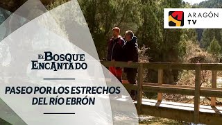 Paseo por los estrechos del río Ebrón con Ricardo Reig  ESTRECHOS DEL EBRÓN [upl. by Nahsar]