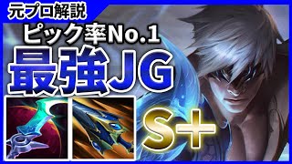 新アイテムで強すぎるリーシンJGでキャリーする方法を徹底解説します！！【LoL】 [upl. by Ahsekram]