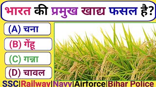 भारत की प्रमुख खाद्य फसल है  Gk Question Gk Question and answers  Gk Questions  Gk Facts [upl. by Otsirc245]