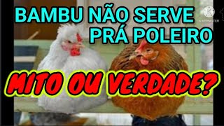 Posso fazer poleiro de bambu [upl. by Benildas]