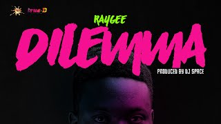 Raygee  Dilemma Official Video [upl. by Cynar881]