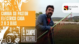 Cambia su pastor eléctrico cada 2 o 3 días [upl. by Newel]