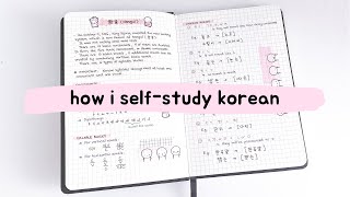 how i selfstudy korean  tips for beginners [upl. by Fesuoy]