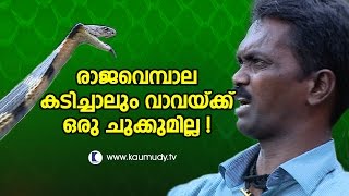 What if King Cobra Attacks amp Bites Vava Suresh   Kaumudy TV [upl. by Leay809]