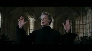 Harry Potter Remix Minerva McGonagall Babbling Bumbling Band Of Baboons EXTENDED VERSION [upl. by Evatsug]