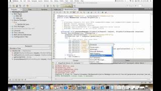 NetBeans integration features for GlassFish Server 31 [upl. by Fletch442]