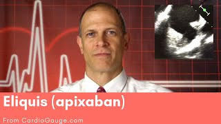 Eliquis apixaban Basics about this medicine its use effectiveness and side effects [upl. by Aihsilat572]