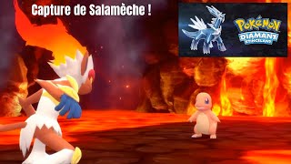 Pokémon Diamant Etincelant  On capture 🔥 Salamèche 🔥  Nintendo Switch [upl. by Wiltsey]