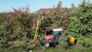 Dlaczego warto wybrać piły do cięcia mechanicznego Coupeco Opinia użytkownika [upl. by Eadith]