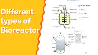 Different types of bioreactors Explained Biochemical amp Bioprocess Engineering [upl. by Orlina587]