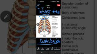 Dr izma tariq pulmo day 1 anatomy Part 3 [upl. by Thisbe]