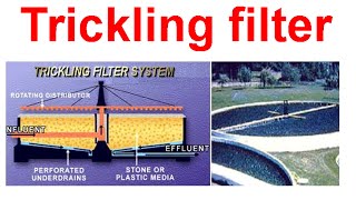 Trickling filter system [upl. by Lemak]