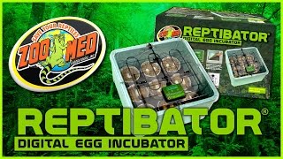 Zoo Med ReptiBator® Digital Egg Incubator [upl. by Eirbua]