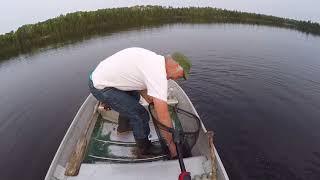 Bisco Back Lake Bass Fishing  Ritchies End of Trail  Don Cardwell [upl. by Nannahs497]