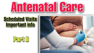 Antenatal Care A Comprehensive Guide to Scheduled Visits and Pregnancy Health  Medisight [upl. by Llehcor]