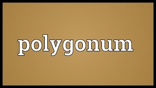 Polygonum Meaning [upl. by Holbrook]