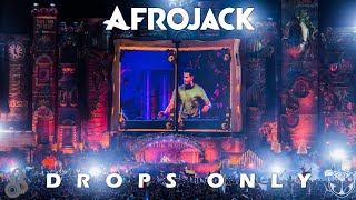 Drops Only Afrojack  Tomorrowland Brasil 2015 [upl. by Yanat]