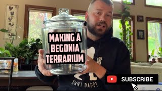 Making A Begonia Terrarium [upl. by Assinna]