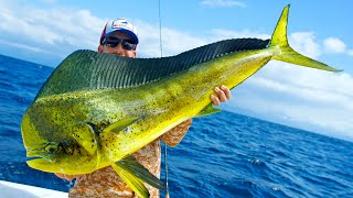 Giant Dolphin Caught using Berkley Gulp  MASSIVE Marlin [upl. by Margie]