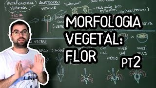 Organologia da Flor Morfologia pt2  Aula 19 Botânica Prof Guilherme [upl. by Ogait]