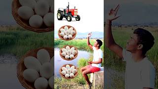 Rounding Egg to Tractor Jcb Roller Alto  New Magical vfx Gaming video eggcorn vfxind shorts [upl. by Griffie39]